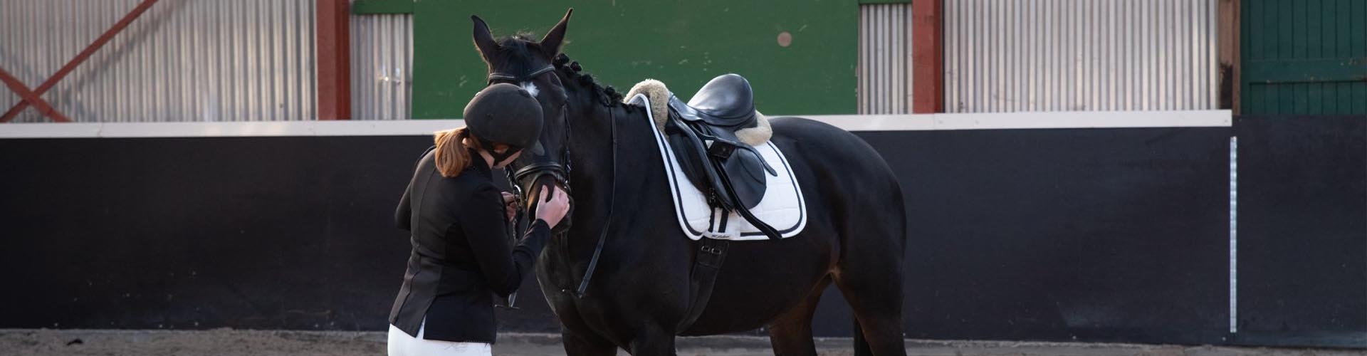 meisje zwart paard