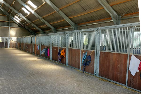 paardenstallen stal homan