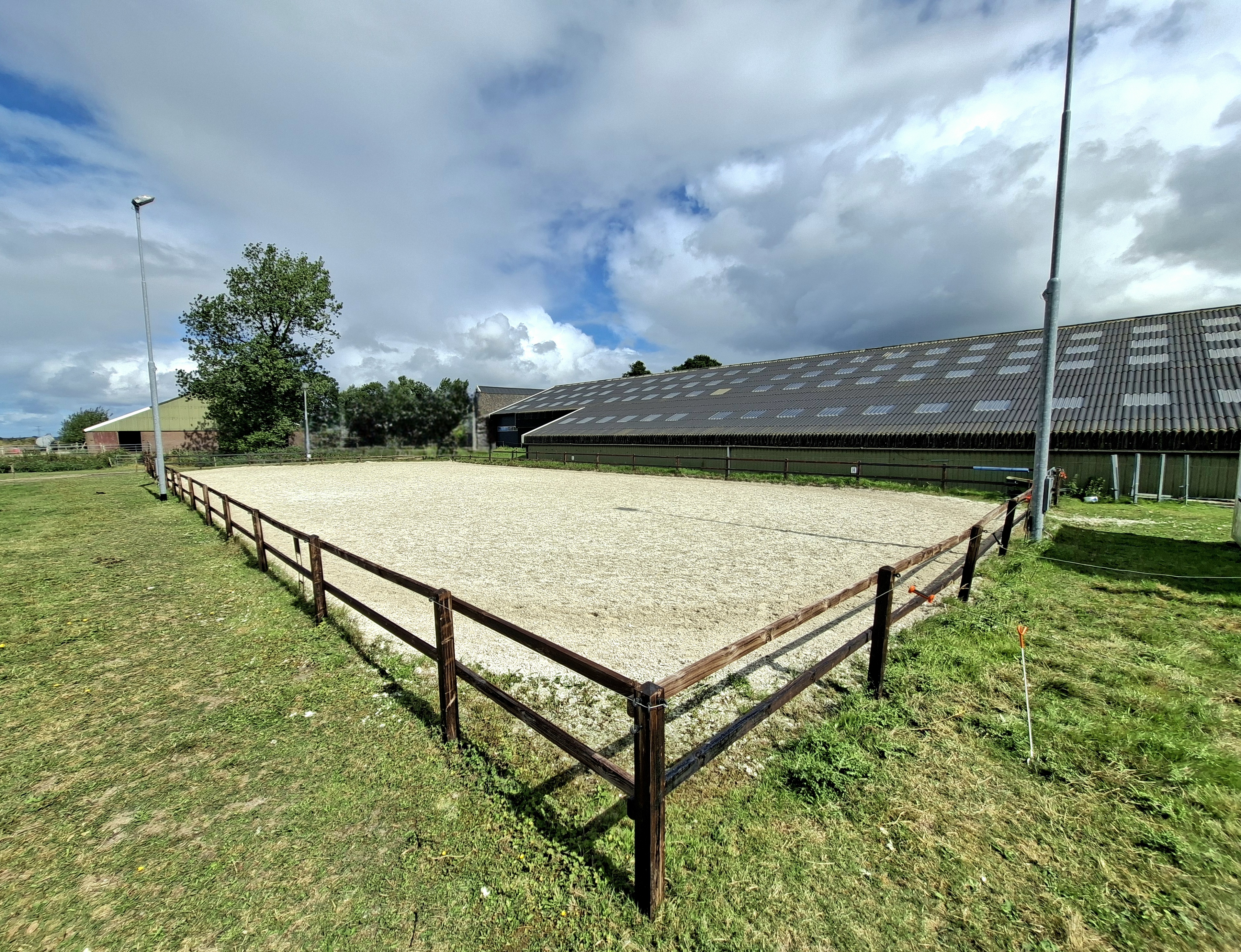 Leasepaarden