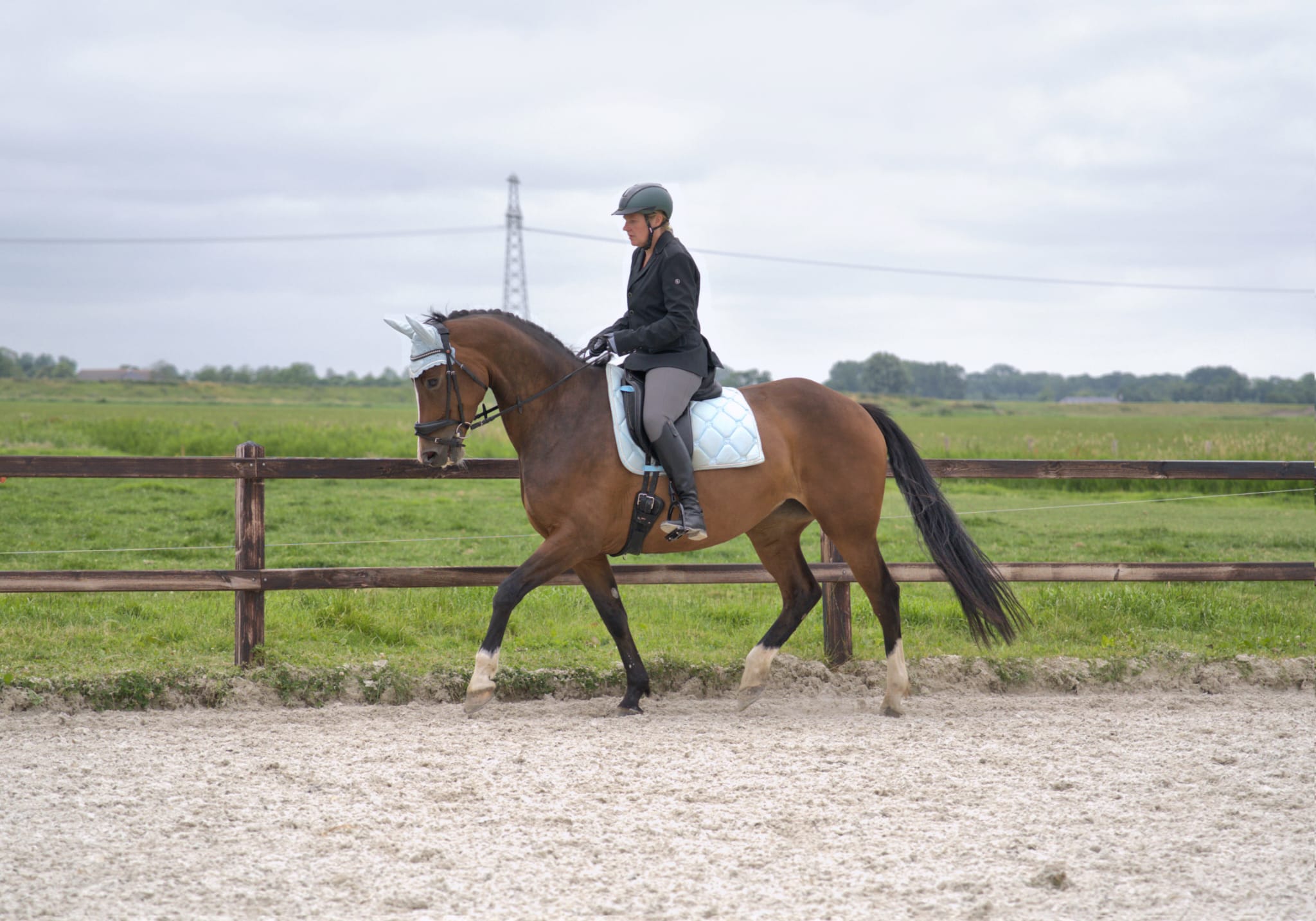 Leasepaarden