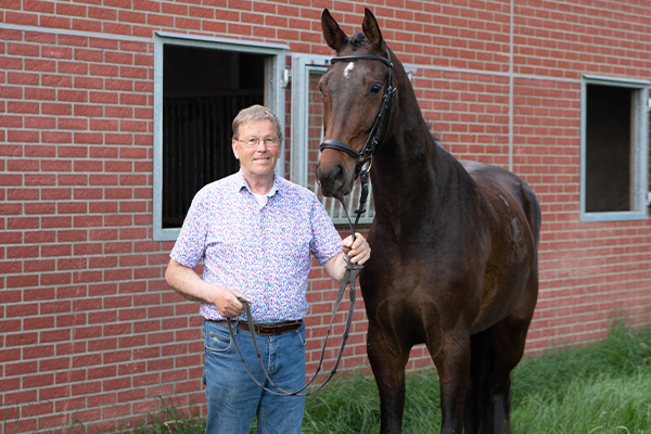 Ruiter op bruin paard