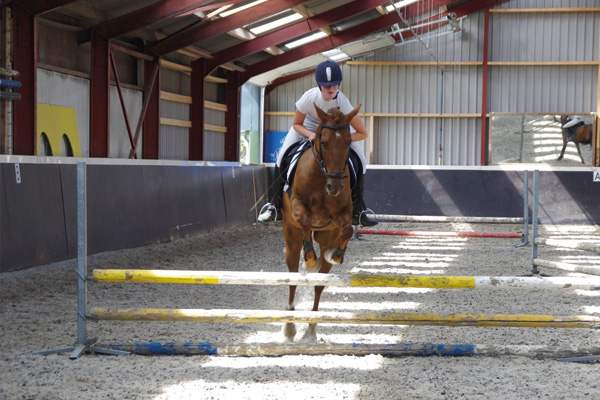 Springles bij Stal Homan